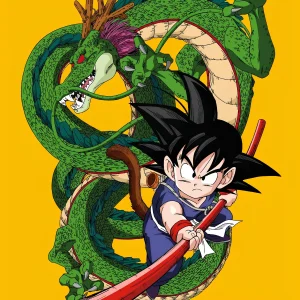 Cuadro Anime Dragon Ball - 01