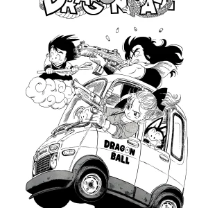 Cuadro Anime Dragon Ball - 02