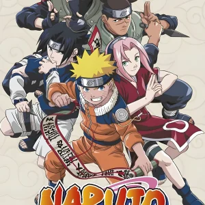 Cuadro Anime Naruto - 04