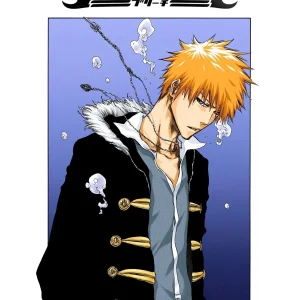 Cuadro de Bleach - 02