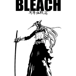 Cuadro de Bleach - 03