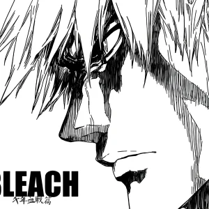 Cuadro de Bleach - 08