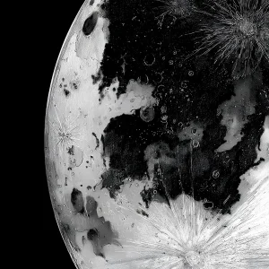 Cuadro de Arte Blanco y Negro- 05