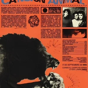 Cuadro de Soda Stereo - 02