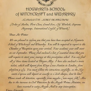 Cuadro de Harry Potter - 04