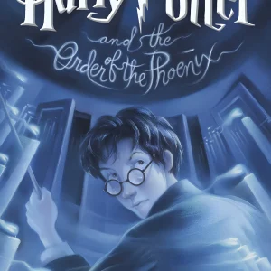 Cuadro de Harry Potter - 07