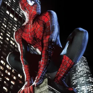 Cuadro de Spider Man - 01
